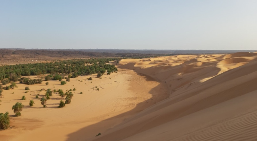 les oasis de l’Adrar
