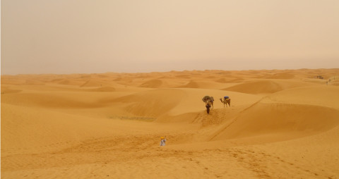 L’Adrar oriental à pied